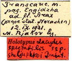 Holotype labels, color image