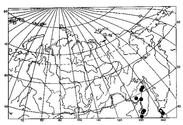 Vespa analis, distribution map