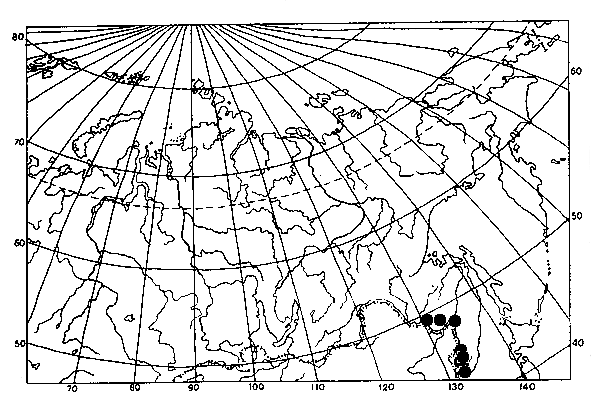 Vespa tropica ducalis, distribution map