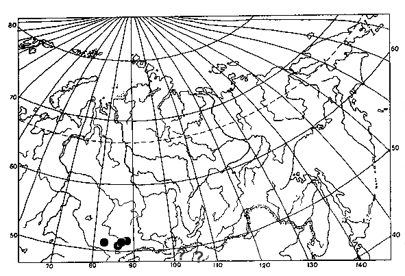 Polistes gallicus, distribution map