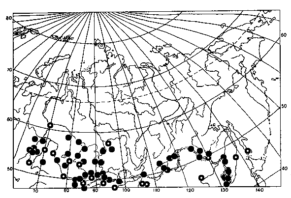 Vespula germanica, distribution map