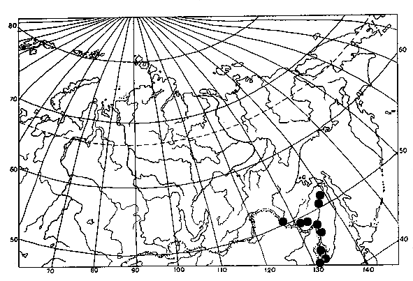 Vespula koreensis, distribution map