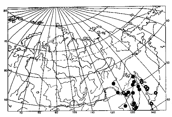 Vespa simillima, distribution map