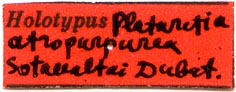 Holotype label, color image