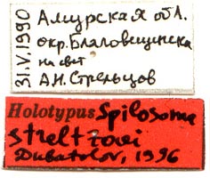 Holotype labels, color image