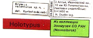 Holotype label, color image