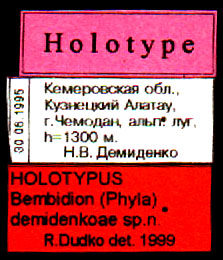 Holotype labels, color image