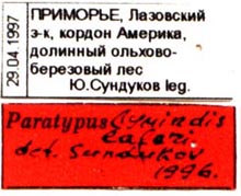 Paratype labels, color image