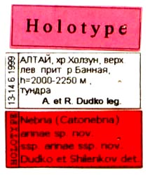 Holotype labels, color image