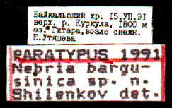 Paratype labels, color image