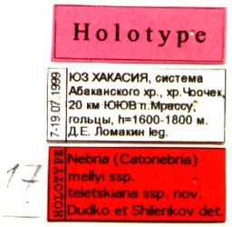 Holotype labels, color image