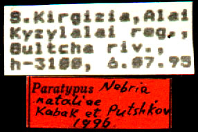 Paratype labels, color image