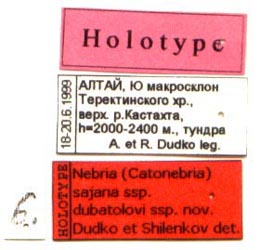 Holotype labels, color image