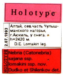 Holotype labels, color image