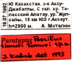 Paratype labels, color image