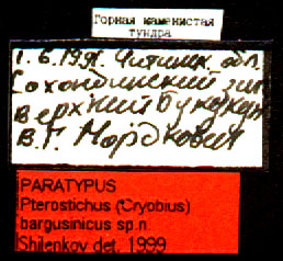 Paratype labels, color image