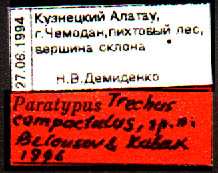 Paratype labels, color image