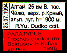 Paratype labels, color image