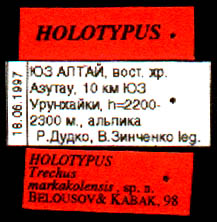 Holotype labels, color image