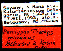 Paratype labels, color image