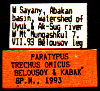 Paratype labels, color image