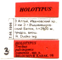 Holotype labels, color image