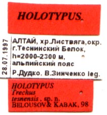 Holotype labels, color image