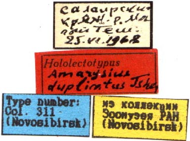 Holotype labels, color image