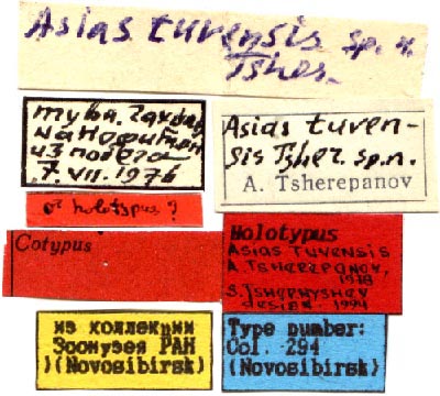 Holotype labels, color image