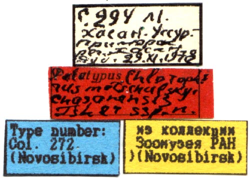 Holotype labels, color image