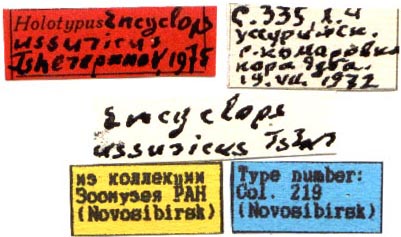 Holotype labels, color image