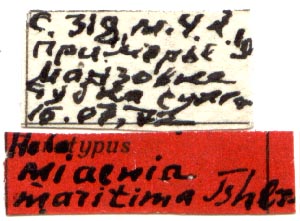 Holotype labels, color image