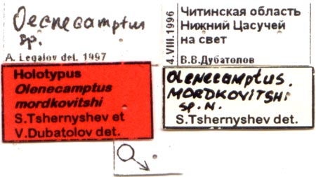 Holotype labels, color image