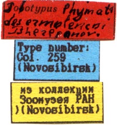 Holotype labels, color image