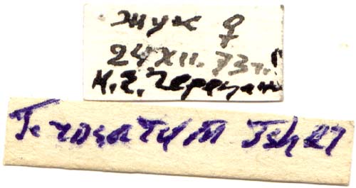 Holotype labels, color image