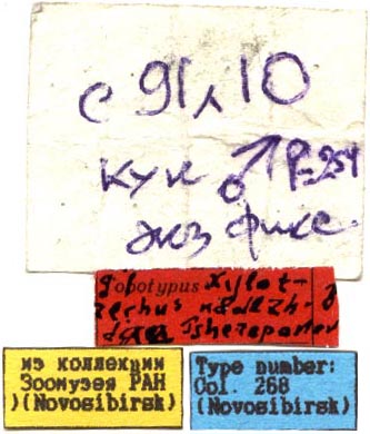 Holotype labels, color image