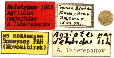 Holotype labels, color image