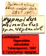 Lectotype labels, color image