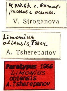 Paratype labels, color image