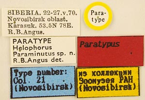 Paratype label, color image