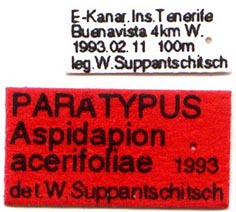 Paratype labels, color image