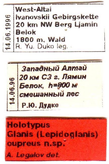 Holotype labels, color image