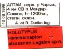 Holotype labels, color image