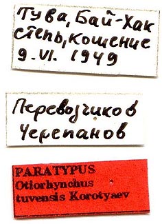 Paratype labels, color image