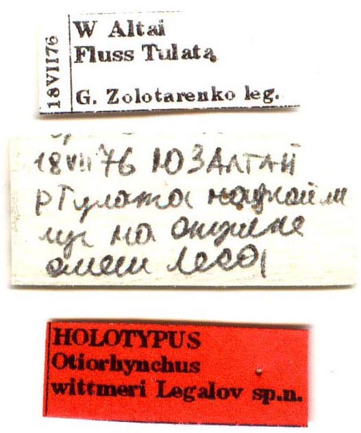 Holotype labels, color image