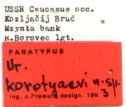 Paratype labels, color image