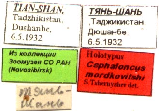 Holotype labels, color image