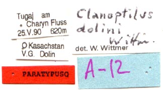 Paratype labels, color image