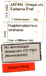 Paratype labels, color image