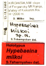 Holotype labels, color image